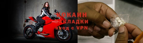 ПСИЛОЦИБИНОВЫЕ ГРИБЫ Осинники