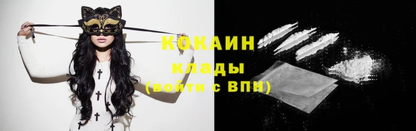стаф Баксан