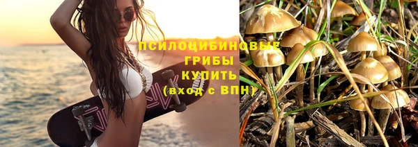 стаф Баксан